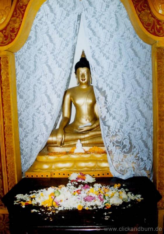 Kandy 3 